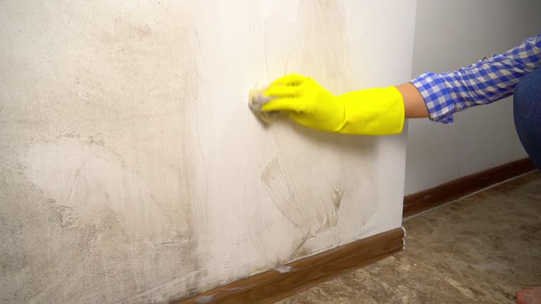 Forensic Mold Investigation in Princeton, MO